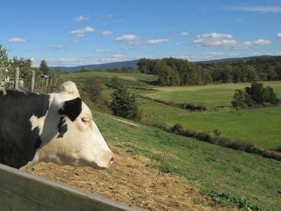The World's Largest Garden Gnome